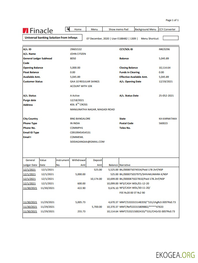 Modèle de relevé bancaire India Finacle facile à remplir au format Excel et PDF